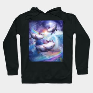 Rainbow Axolotl In Space, Galaxy Axolotls Hoodie